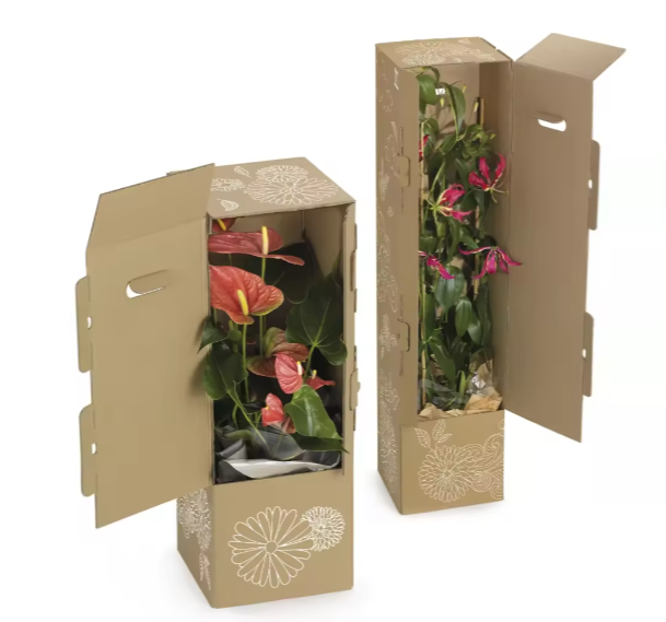 Customized Packaging Boxes Cardboard Shipping Packaging Potted Live Natural Plant Corrugated Display Box For Live Plants